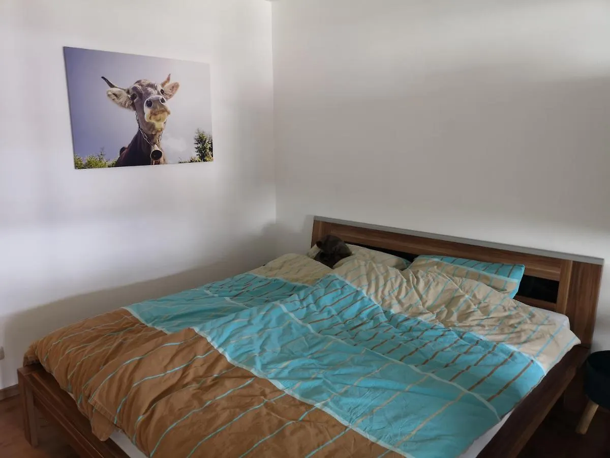 Ferienwohnung Mit Blick Auf Den Weissensee Füssen Almanya