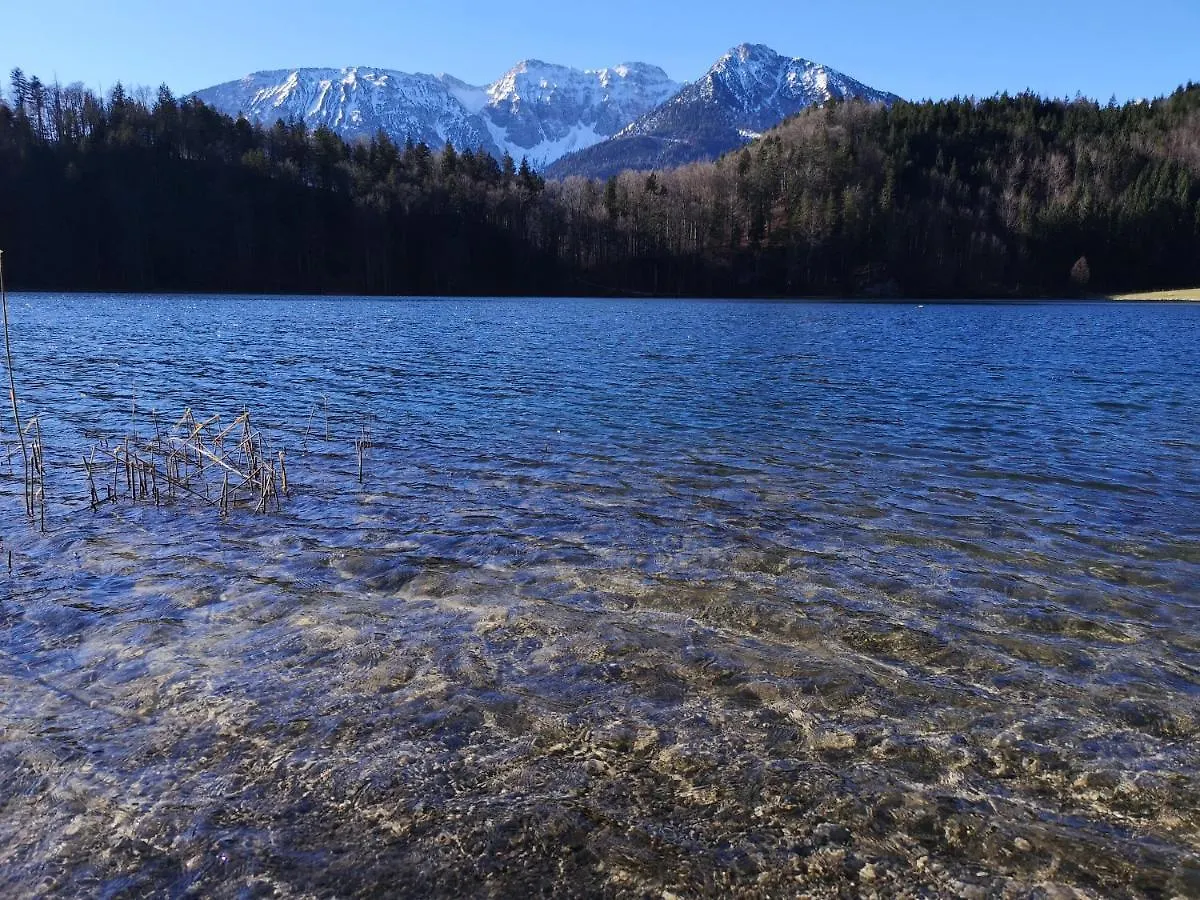 Ferienwohnung Mit Blick Auf Den Weissensee Füssen Daire